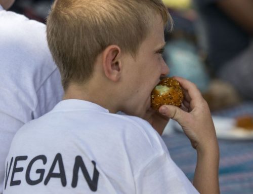 What to do when your kid decides to be a vegan – Yahoo